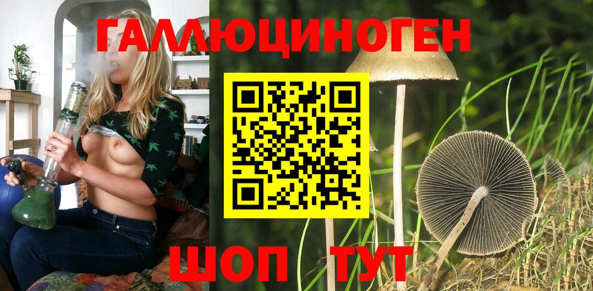 Галлюциногенные грибы Cubensis  как найти закладки  Галлюциногенные грибы Cubensis  Подольск  Вход с VPN 